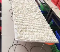 冬至來(lái)臨，公司員工一起來(lái)包＂扁食＂